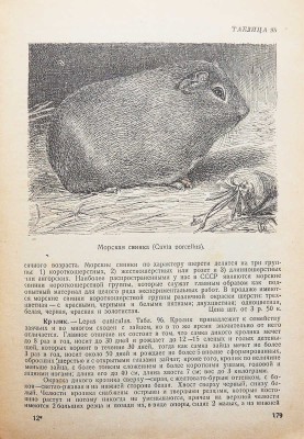Селивачев Б.В. Иллюстрированный справочник-каталог зоолюбителя. М.: Мосрекламсправиздат, 1930.